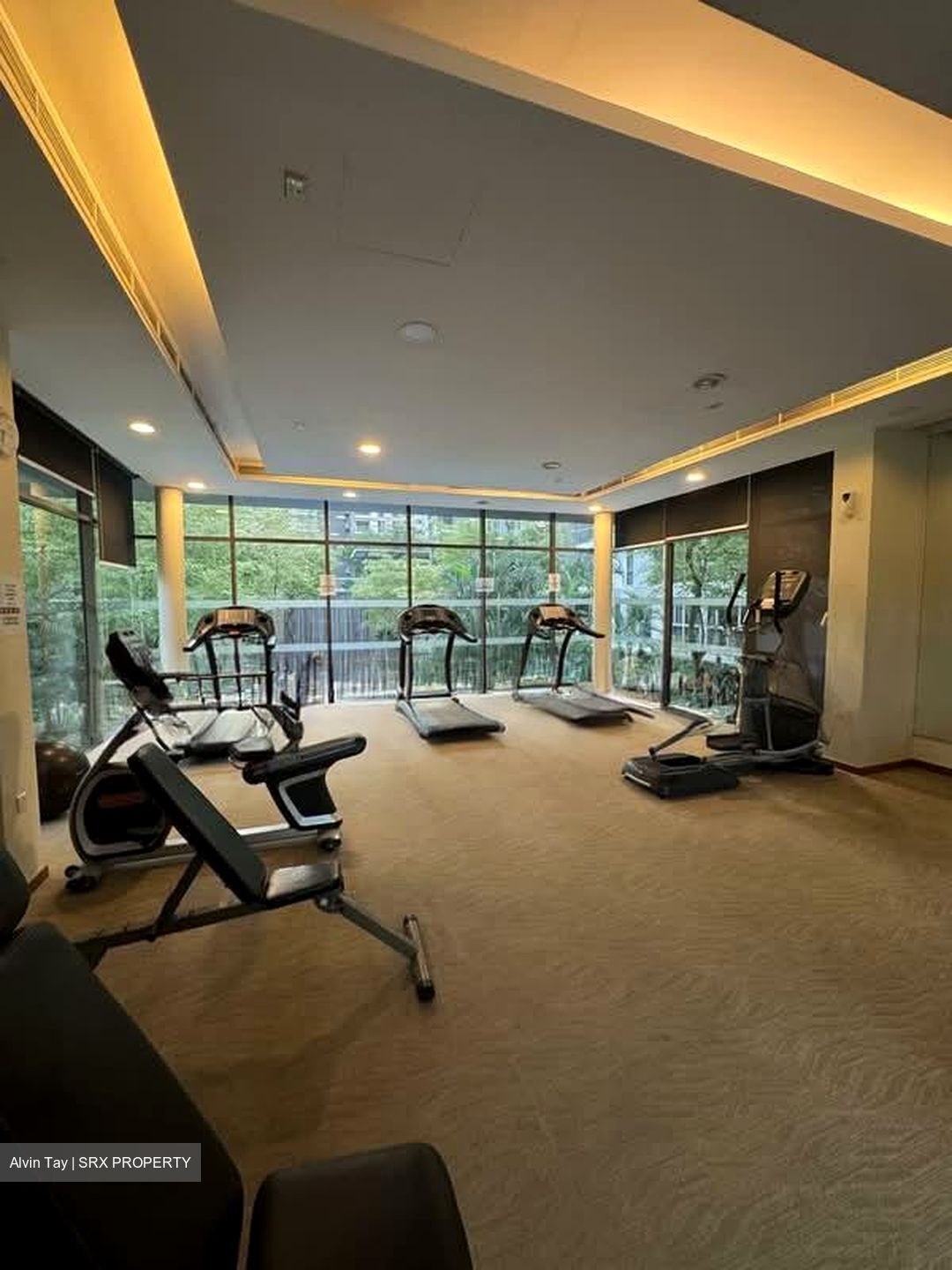 Charlton Lane (D19), Condominium #560344481